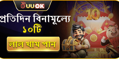 দৈনিক ফ্রি স্পিন প্যাকেজ